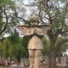 ANGEL WINGS