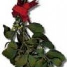 MISTLETOE