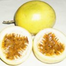 PASSION FRUIT