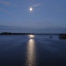 MID SUMMER'S NIGHT
