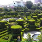SHERYLS GARDEN