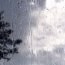 SPRING RAIN