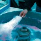 COTTON CANDY