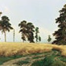 HAWTHORNE