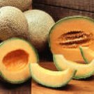 CANTALOUPE