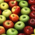 APPLE ORCHARD