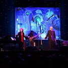 Lani Hall and Herb Albert 8”x10” Concert Photo (Brand New)