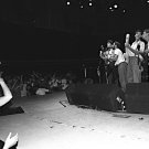 America 8”x10” Concert Photo (Brand New)