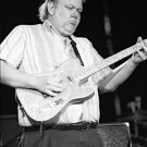 Al Anderson 8”x10” Concert Photo (Brand New)