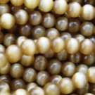 25 8 mm Fiber Optic Cats Eye Beads -- Amber
