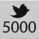 Get 5000+ Twitter followers within 24 hours