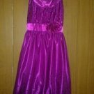 Speechlen spandex with sparkle dress 4 girls.size 10