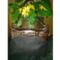 America. E. G very beautiful bga for women