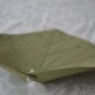Green Leaf Coasters with beads - Drink Coasters - Beverage Coasters - Set of 4