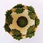 Fruit baskets bowls set of 2