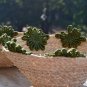 Fruit baskets bowls set of 2