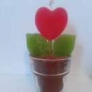 Heart Blossom in Flowerpot