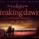 Authentic Movie Theatre Banner- Breaking Dawn