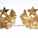 WING 2 AIR FORCE BASE, ROYAL THAI AIR FORCE METAL BADGE PIN BRANCH INSIGNIA