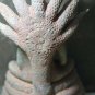 13.6" Snake Naga Thailand Art Buddha Statue Antique Rare
