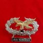 Royal Thai Army Soldier Long Lange Reconnaissance Patrol Company Badge Pin Rank