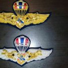 Honorary Class Thai air force Freefaller Parachutist Wings Handmade Back Magnet
