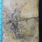 PHRA Somdej Luang Por Lamoon, Wat Sadet Thai Amulet Buddha Very Rare B.E.2515