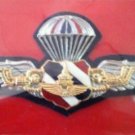 Royal Thai Police jump Wing Badge Thailand Police Pin Current Militaria