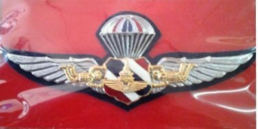 Royal Thai Police jump Wing Badge Thailand Police Pin Current Militaria