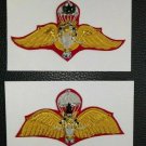 Original RTA 2 Thai Army Parachutis​t Wings Golden tinsel Handmade Back Magnets