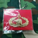Royal Thai Army Master Class infantry Pistol Badge Thai infantry Pistol Metal
