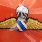 Royal Thailand Air Force Parawing pin Airborne wings Metal Student Tower Airmam,