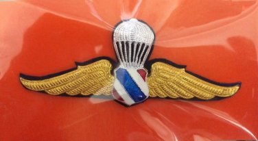 Royal Thailand Air Force Parawing pin Airborne wings Metal Student Tower Airmam,