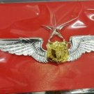 DOCTOR ROYAL THAI AIR FORCE MEDICAL METAL WING BADGE PIN RTAF