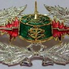 Thai Army Mine Warfare Badge Pin Thailand Army