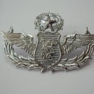 Master Thai Air Force Badge Fire Brigade Pin Metal Pin Collectible Militaria