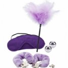Shades of Purple Playroom Kit