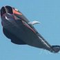 UK STOCK - OCEAN WORLD 3D BIG WHALE / DOLPHIN FRAMELESS PARAFOIL KITE FLYING TOY OUTDOOR