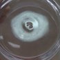 Libbey etched Glass Candy Dish