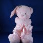 GUND BABY NIGHTY NIGHT PINK PLUSH BEAR - PLAYS MUSIC & MOVES