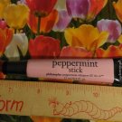 Philosophy High Gloss High Flavor Lip Shine Lip Gloss ~ PEPPERMINT STICK ~