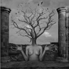 'TREE of LIFE' NUDE Girl & Tree 15" x 12" Photograph Fine Art Crystal Print BW LILA COA NEW ROUSE