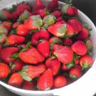 Sugar-free Strawberry Jam
