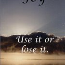 JOY USE IT OR LOSE IT--A MEDITATION By TODD VOGEL