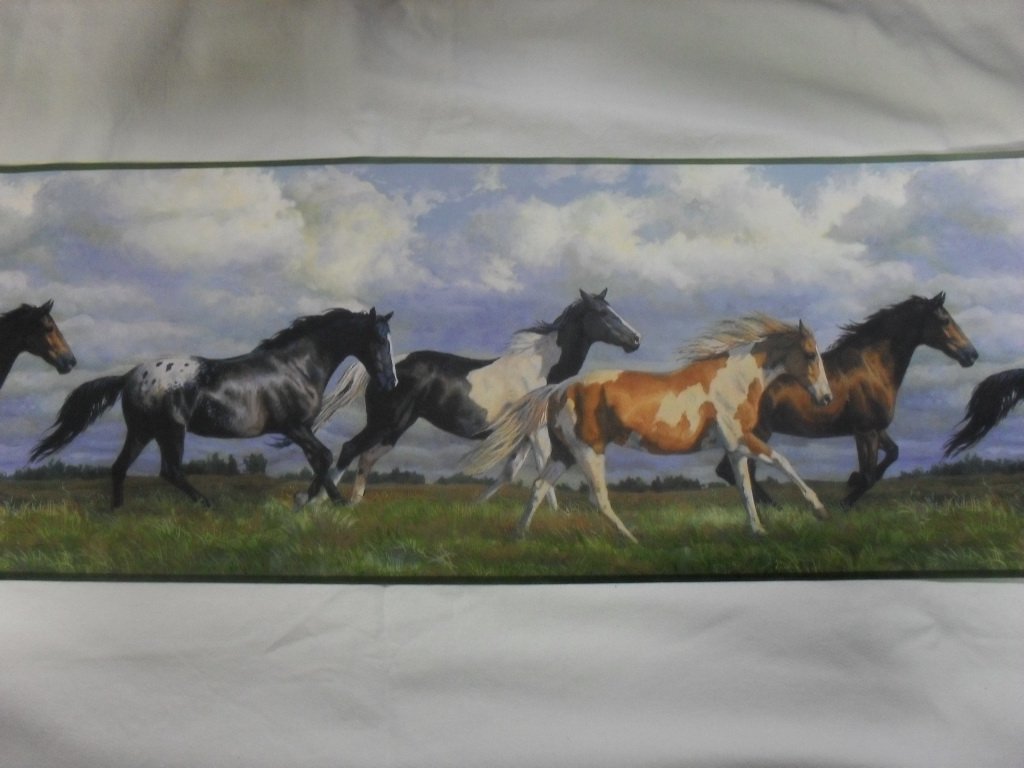 Country Wild Horses Theme Wallpaper Border