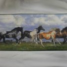 Country Wild Horses Theme Wallpaper Border