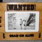 Wanted Frame - CNSwf