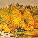DPP landscape 23al