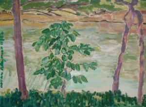 DPP landscape 13al