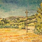 DPP landscape 22al